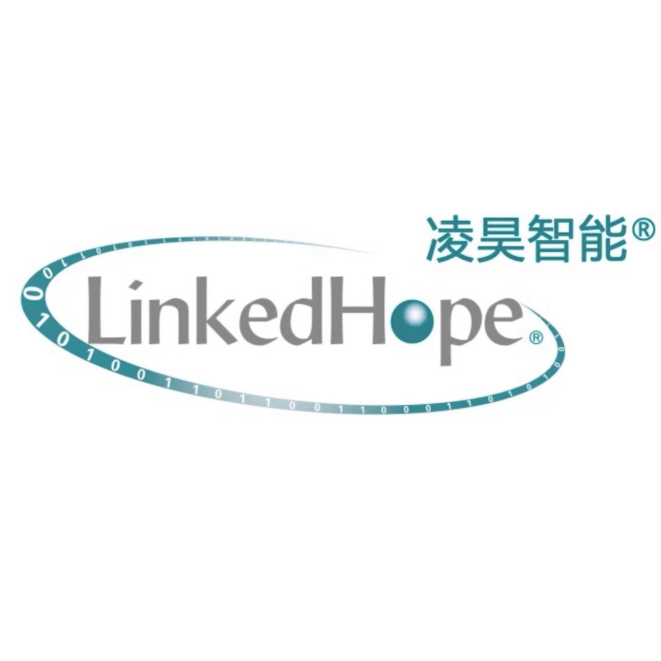 北京鲲鹏凌昊智能技术有限公司